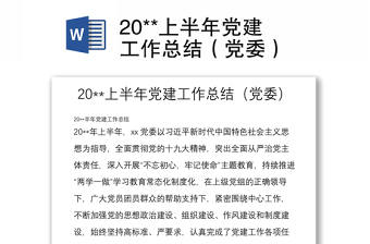 20**上半年党建工作总结（党委）