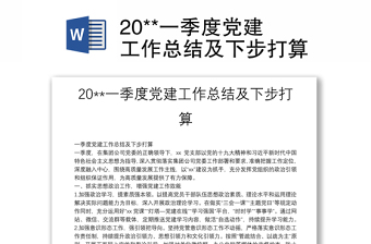 20**一季度党建工作总结及下步打算