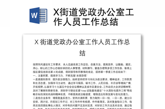 X街道党政办公室工作人员工作总结