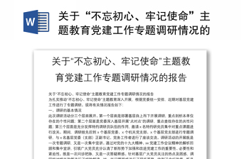 关于“不忘初心、牢记使命”主题教育党建工作专题调研情况的报告