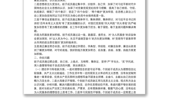 “不忘初心、牢记使命”主题教育民主生活会班子检视剖析材料