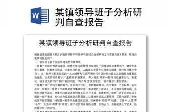 某镇领导班子分析研判自查报告