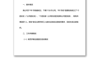 公司2022年上半年共青团工作总结