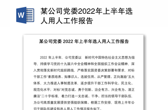 某公司党委2022年上半年选人用人工作报告