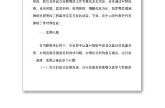 银行党委班子巡察整改专题民主生活会对照检查材料范文