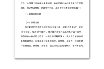 2篇迎盛会铸忠诚强担当创业绩主题教育组织生活会个人对照检查材料范文