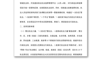 综合行政执法体制改革调研报告