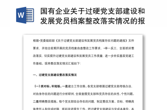 国有企业关于过硬党支部建设和发展党员档案整改落实情况的报告