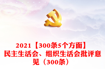 2023医保局组织生活会批评意见ppt