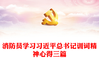 消防员学习习近平总书记训词精神心得三篇