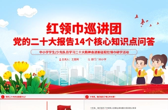 学习二十大交流发言2025ppt