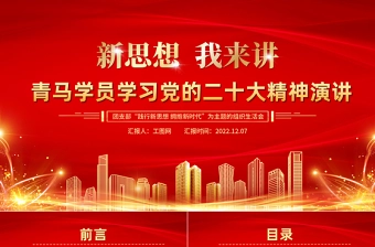 2025学习党的二十大党小组长与党员谈话ppt