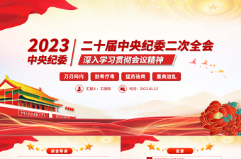 2022学习党二十大精神的会议纪要党课PPT