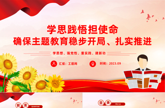 学思践悟担使命PPT红色简洁确保主题教育稳步开局扎实推进党课课件