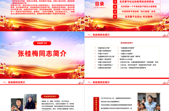 精美大气风学习张桂梅事迹PPT2023年学习时代楷模主题党课课件模板下载