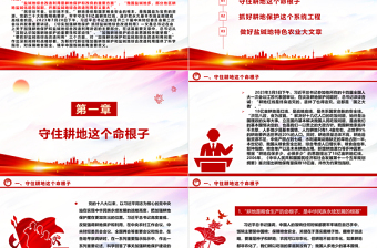 “像保护大熊猫一样保护耕地”ppt大气简洁耕地是保障国家粮食安全的根本党组织专题教育党课课件