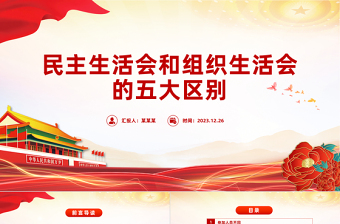 详解民主生活会和组织生活会PPT简洁风党务知识应知应会课件
