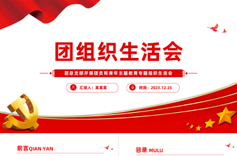 学习主题教育激发责任与担当PPT大气实用团支部组织生活会模