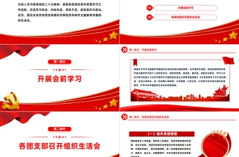 学习主题教育激发责任与担当PPT大气实用团支部组织生活会模