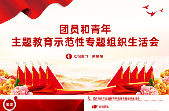 团组织生活会PPT红色精美团员和青年主题教育示范性专题组织生活会模板