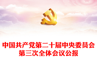 红色创意风2024中国共产党第二十届中央委员会第三次全体会议公报PPT模板(讲稿)