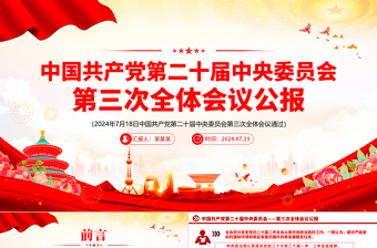 2025税务二十届四中全会精神ppt课件