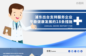 党课 浦东 发展 ppt

