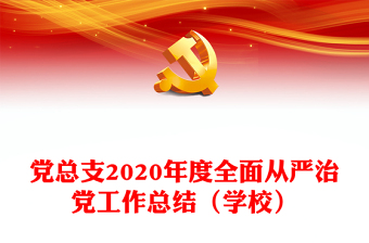 党总支2020年度全面从严治党工作总结（学校）