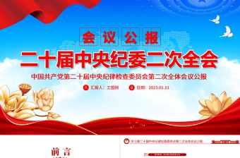 2025年广东省纪委全会ppt