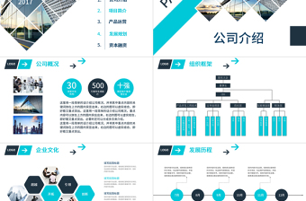 稳重简约蓝色公司简介企业文化宣传PPT