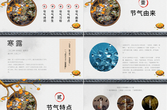 二十四节气之寒露灰白色简约PPT模板