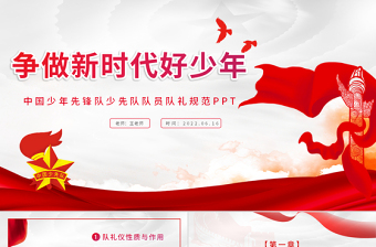 请党放心强国有我争做新时代好少年演讲稿ppt