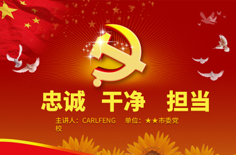 王丽霞党课讲座ppt