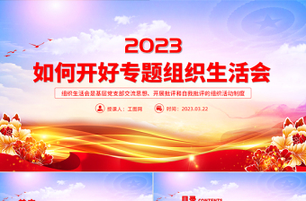 2024团组织生活会免费ppt