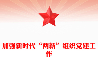 2023加强新时代“两新”组织党建工作PPT党政风新时代党的基层组织建设专题党课(讲稿)