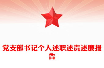 2023年党支部书记个人述职报告