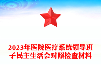 2023年医院医疗系统领导班子民主生活会对照检查材料