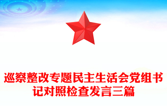 巡察整改专题民主生活会党组书记对照检查发言三篇