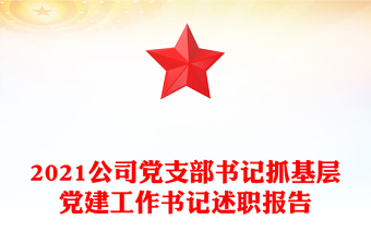 2021公司党支部书记抓基层党建工作书记述职报告