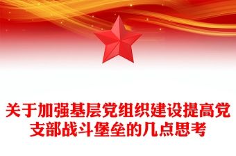 2025关于党支部ppt模版