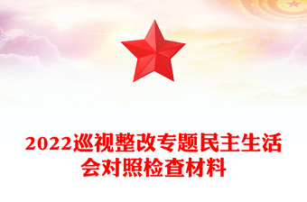 2022巡视整改专题民主生活会对照检查材料