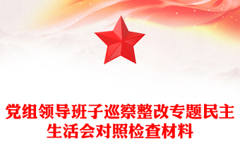 党组领导班子巡察整改专题民主生活会对照检查材料