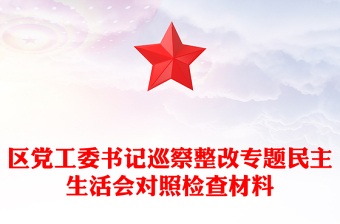 区党工委书记巡察整改专题民主生活会对照检查材料