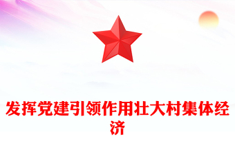 2024发挥党建引领作用壮大村集体经济乡村振兴PPT课件(讲稿)