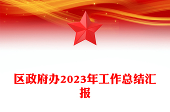 精美大气区政府办年终工作总结PPT党政工作汇报模板下载(讲稿)