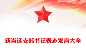 新当选支部书记表态发言大全