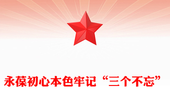 2025三进结合守初心心得体会