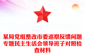 某局党组整改市委巡察反馈问题专题民主生活会领导班子对照检查材料