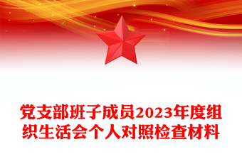 组织生活会个人对照检查材料PPT大气简洁党支部班子成员发言材料(讲稿)