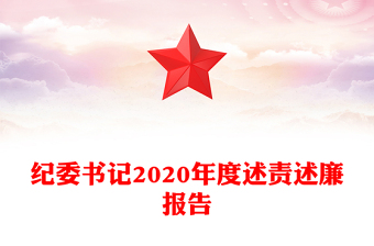 纪委书记2020年度述责述廉报告